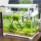 Aquarium Thermometer